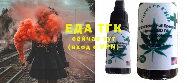хмурый Аркадак