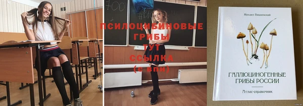 ПСИЛОЦИБИНОВЫЕ ГРИБЫ Покров