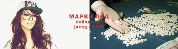 ПСИЛОЦИБИНОВЫЕ ГРИБЫ Пересвет