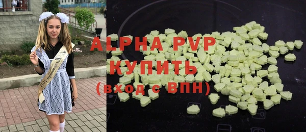 хмурый Аркадак